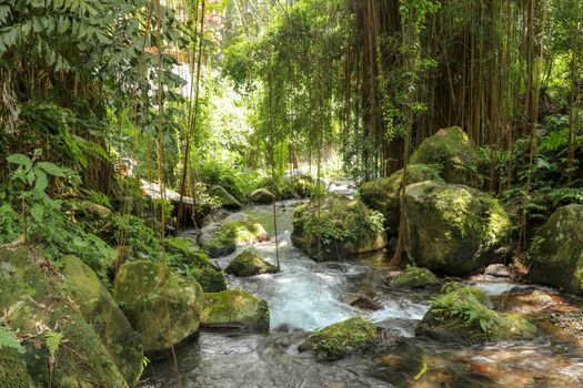 River bed in Pakerisan valley with wild water and big boulders. Water rolling over rocks in a river bed at a funeral complex in Tampaksiring. Gunung Kawi, Bali, Indonesia. Tropical vegetation.