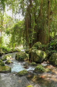 River bed in Pakerisan valley with wild water and big boulders. Water rolling over rocks in a river bed at a funeral complex in Tampaksiring. Gunung Kawi, Bali, Indonesia. Tropical vegetation.