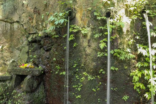 Sacred water springs in the Pakerisan Valley at the Tampaksiring Burial Complex. Gunung Kawi, Bali, Indonesia. Sacrifices to the Gods on the altar. Mecha and tropical vegetation grow on a rock wall.