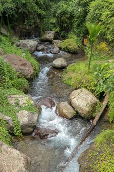 River bed in Pakerisan valley with wild water and big boulders. Water rolling over rocks in a river bed at a funeral complex in Tampaksiring. Gunung Kawi, Bali, Indonesia. Tropical vegetation.
