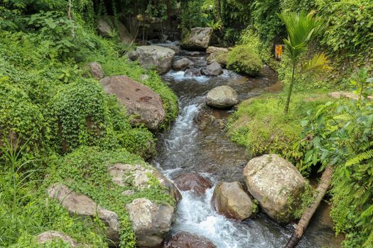 River bed in Pakerisan valley with wild water and big boulders. Water rolling over rocks in a river bed at a funeral complex in Tampaksiring. Gunung Kawi, Bali, Indonesia. Tropical vegetation.