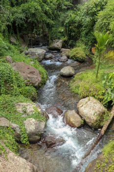 River bed in Pakerisan valley with wild water and big boulders. Water rolling over rocks in a river bed at a funeral complex in Tampaksiring. Gunung Kawi, Bali, Indonesia. Tropical vegetation.