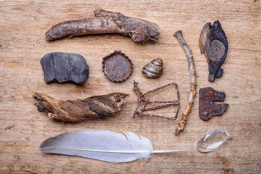 Little treasures from the Dnieper river beach. Memories of a summer in Kiev, Ukraine.