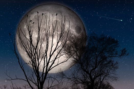 Crows perched on the top of tree branches are waiting to take flight during the night with a big Moon and a starry sky with a comet. Elements of this image furnished by NASA