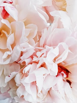 Bouquet of peony flowers on luxury marble background, wedding flatlay and event branding design