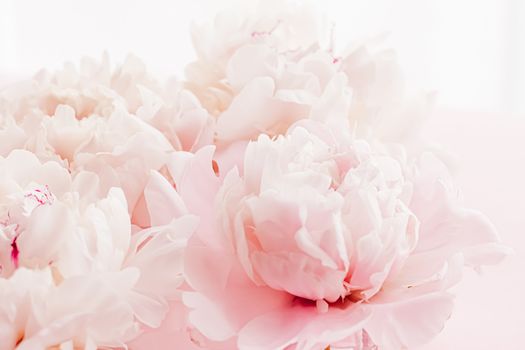 Peony flowers in bloom as floral art on pink background, wedding flatlay and luxury branding design