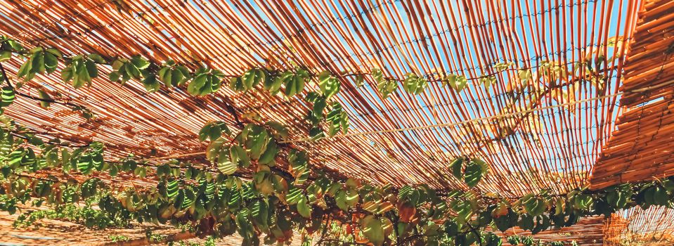 Wooden roof on the beach, nature and design