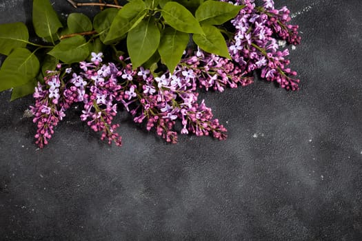 Purple lilac flowers bouquet on black concrete background. Stylish floral greeting card. Happy mothers day.
