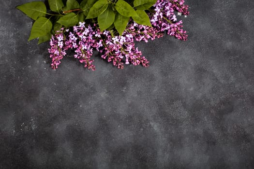Purple lilac flowers bouquet on black concrete background. Stylish floral greeting card. Happy mothers day.