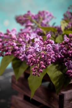 Purple lilac flowers bouquet on wooden box on black concrete background. Stylish floral greeting card. Happy mothers day.
