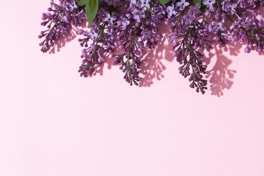 Purple lilac flowers bouquet on pink background. Stylish floral greeting card. Happy mothers day.