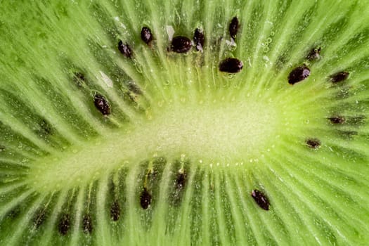 Macro shot of a kiwi slice. Healthy food