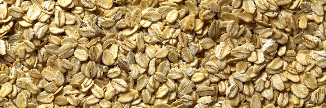 Close up of oats flakes. oats flakes macro shoot. panorama. Background of golden oat flakes. Healthy food.