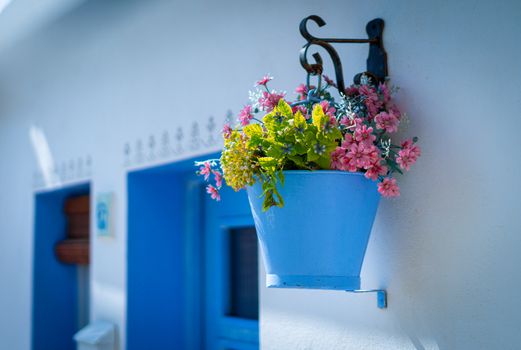 Pink flowers in a blue bucket hung on a white wall in a traditional fishing village of Ametlla de mar. Greek or ibiza style