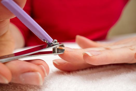 Woman Clipping Nail s with Forceps. Female cuts his nails on a white background with tweezers for nails. manicure procedures yourself at home.
