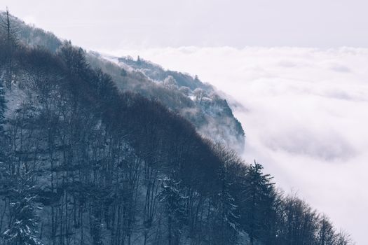 Mountain emerging from the winter fog.