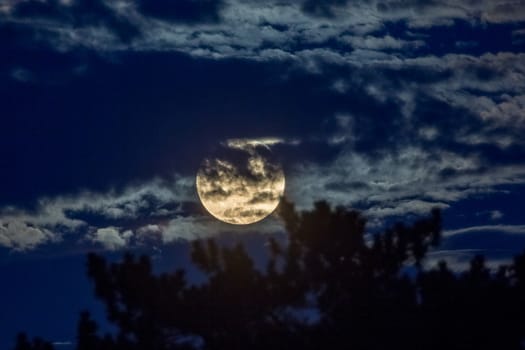January 31st 2018 super moon rising on the horizon.