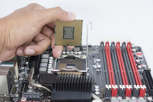 Hand holding CPU show the ic surface and have motherboard open socket mount for cpu isolated on white bakcground