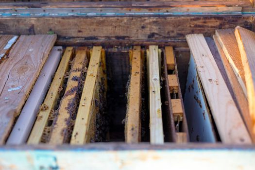 Open bee hive and honeycomb frames