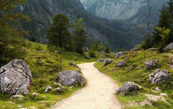 Path between Obersee and Konisee lake in Germany natural park during summer