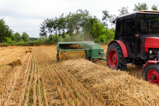 Tractor making straw bales. Agriculture concept