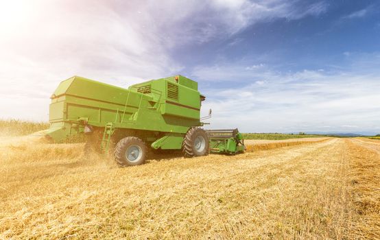 Combine harvester agriculture machine harvesting golden ripe wheat field