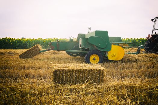 Tractor making straw bales. Agriculture concept