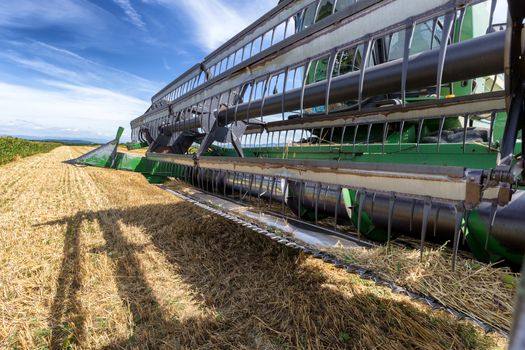 Harvesting wheat harvester on a sunny summer day