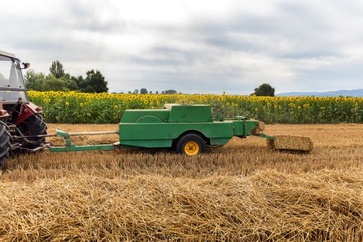 Tractor making straw bales. Agriculture concept