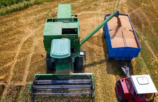 Collecting wheat from combine to tractor trailer, aeial view from drone