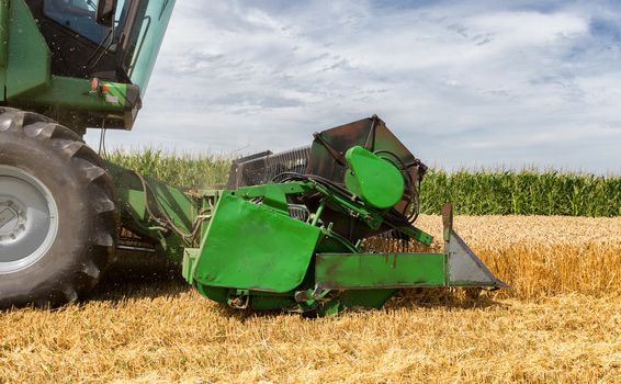 Harvesting wheat harvester on a sunny summer day