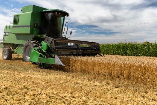 Combine harvester agriculture machine harvesting golden ripe wheat field