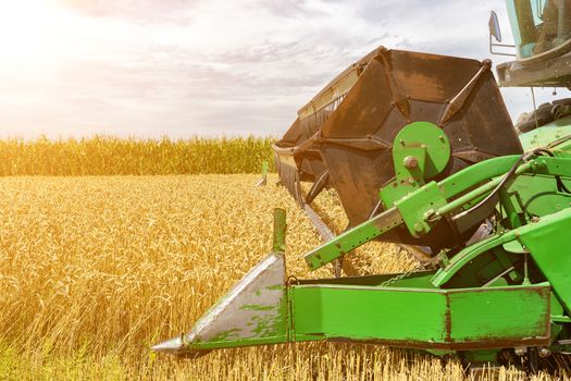 Combine harvester agriculture machine harvesting golden ripe wheat field