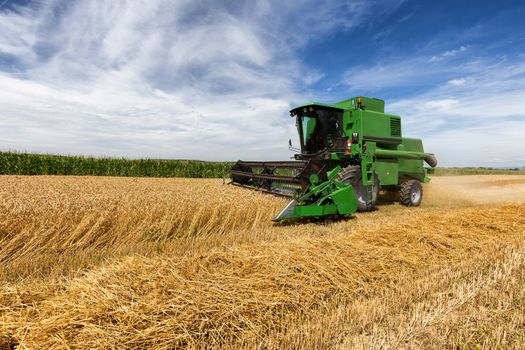 Harvesting wheat harvester on a sunny summer day