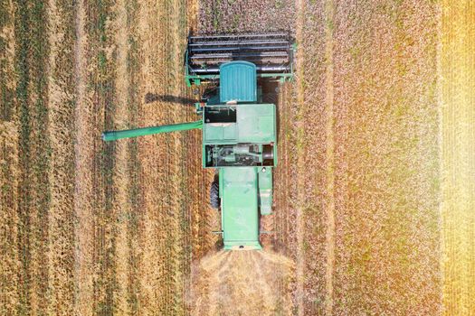 Harvester on the wheat field from the top view