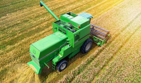 Aerial view on the combine working on the large wheat field