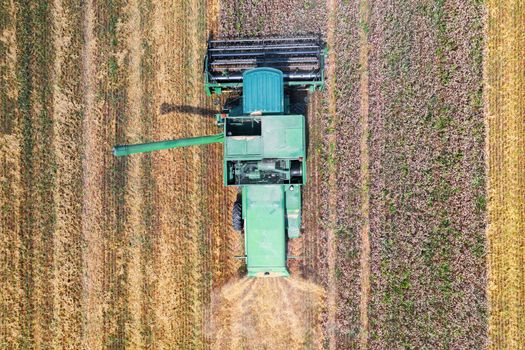 Harvester on the wheat field from the top view