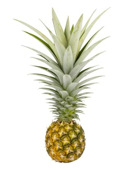 pineapple isolated on white background. Save with clipping path