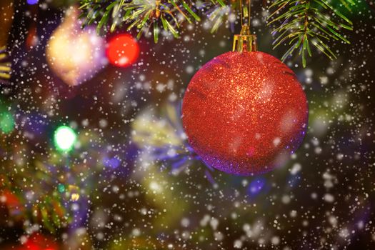 Closeup of red bauble hanging from a decorated Christmas tree. Christmas background - baubles and branch of spruce tree