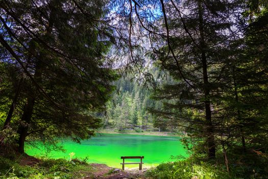 Empty wooden bench at green lake with crystal clear water