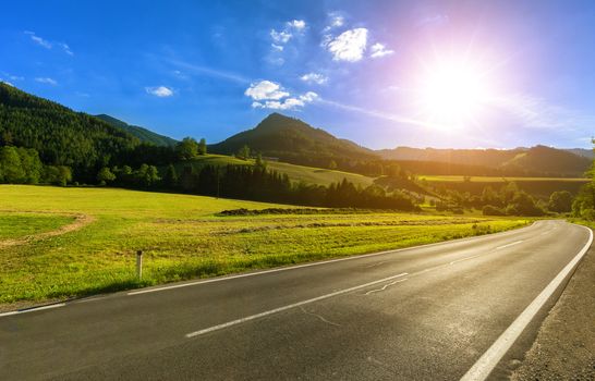 Sunny road - few trees on a hill side meadow near the mountain asphalt road in evening light