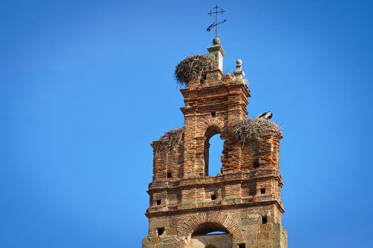 Bell tower with a storks nest in Plasencia medieval town in Extremadura. Spain.