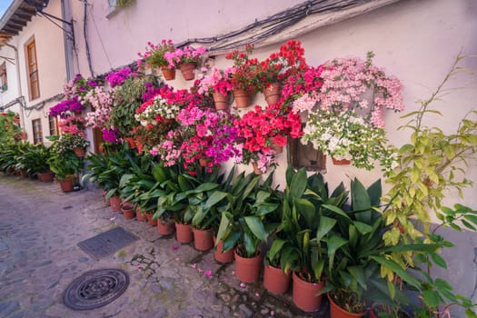 Typical spanish white walls street, full of flowerpots on the floor and on the walls, in the rural town of Hervas, Extremadura, Spain.