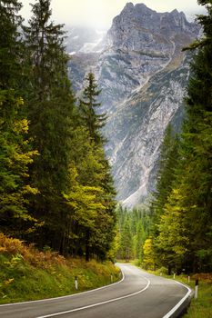 A road thru mountain pass in dolomites during autumn with beautiful colors, Italy, Europe