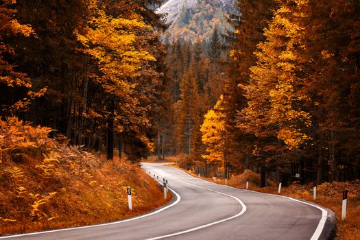 Path to beautiful dolomites with a nice asphalt road and a beautiful autumn morning.