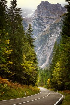 A road thru mountain pass in dolomites during autumn with beautiful colors, Italy, Europe