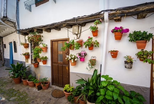 Typical spanish white walls street, full of flowerpots on the floor and on the walls, in the rural town of Hervas, Extremadura, Spain.