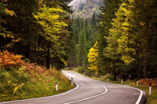 Path to beautiful dolomites with a nice asphalt road and a beautiful autumn morning.