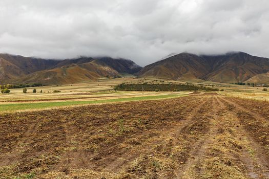 potato field on a background of mountains, the northern shore of Lake Issyk-Kul, Kyrgyzstan