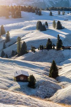 Beautiful view of traditional wooden mountain chalets on scenic Alpe di Siusi with famous Langkofel mountain peaks in the background in golden morning light at sunrise, Dolomites, South Tyrol, Italy